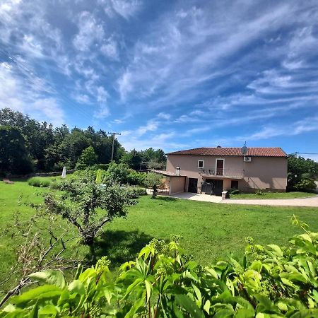 Villa Krizanci Žminj エクステリア 写真