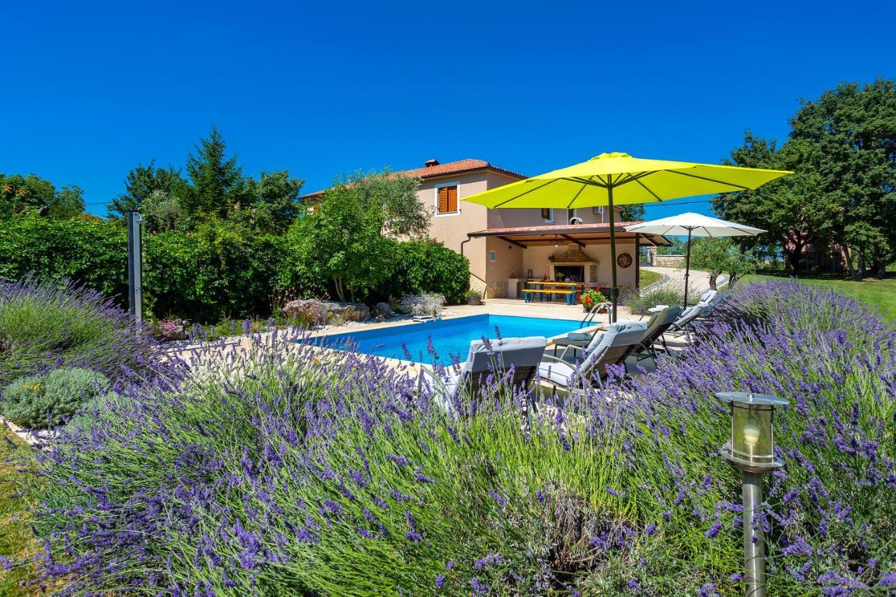 Villa Krizanci Žminj エクステリア 写真