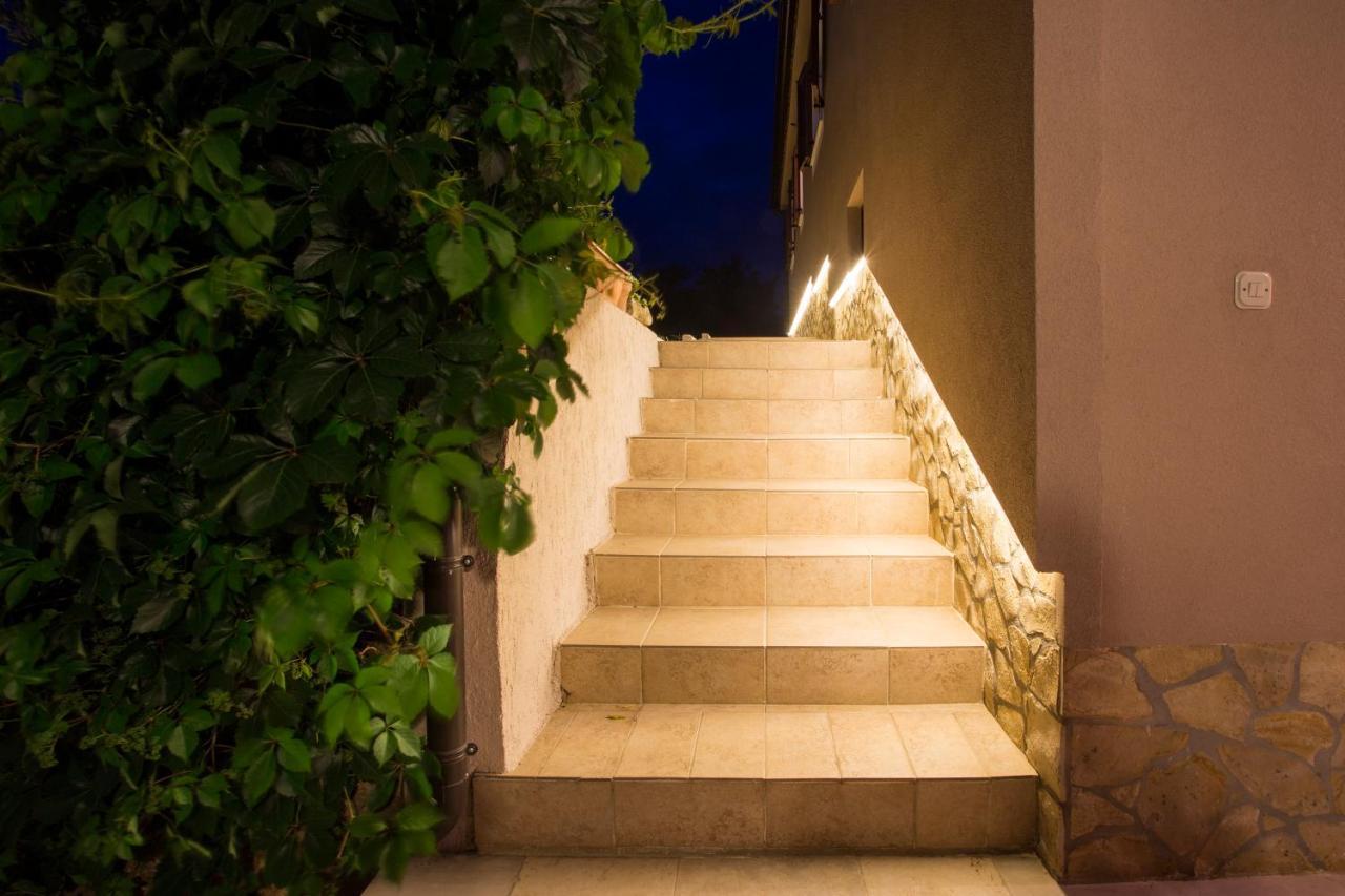 Villa Krizanci Žminj エクステリア 写真